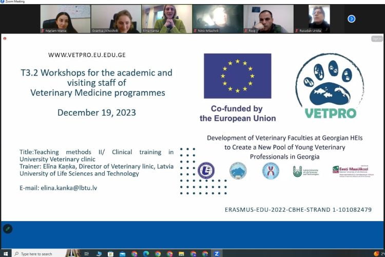 An online workshop for the academic and visiting staff of Veterinary Medicine integrated master’s programmes was held within the framework of the VETPRO project